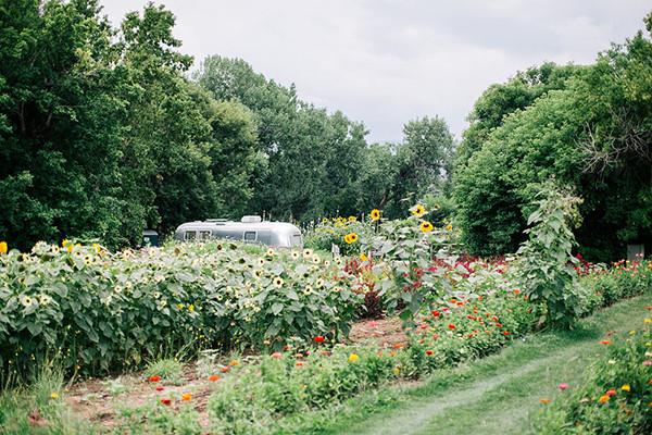 The Wedding Website of Tyson Weigel and Sarah Call