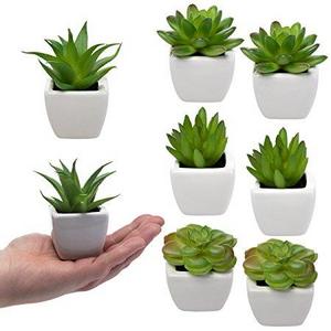 Set Of 8 Small Green Succulent Artificial House Plants Ceramic Pots Home Office