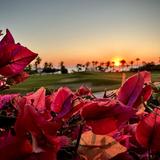 Puerto Los Cabos Golf Course
