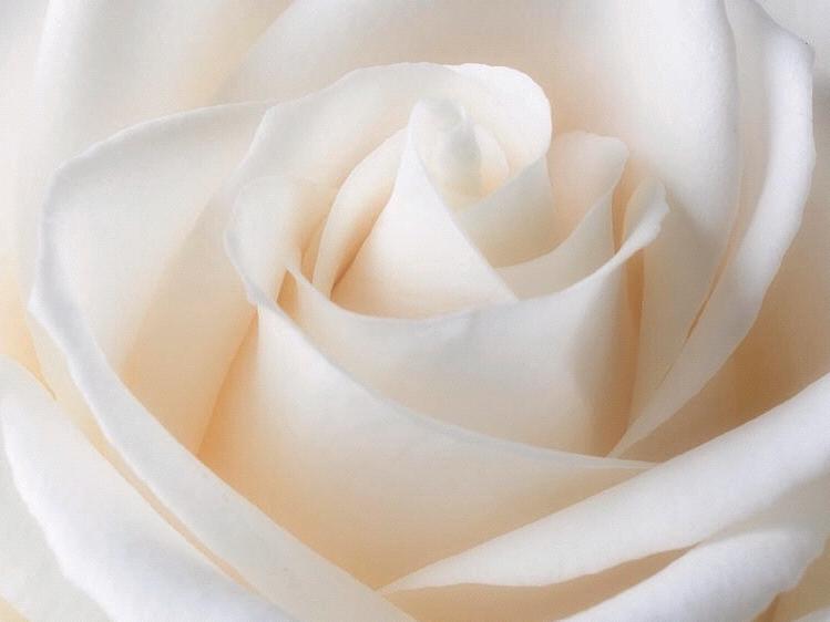 The Wedding Website of Emily Hamlyn and Patrick Sweetra