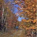 Chaffey's Locks Trails-Cataraqui Trail