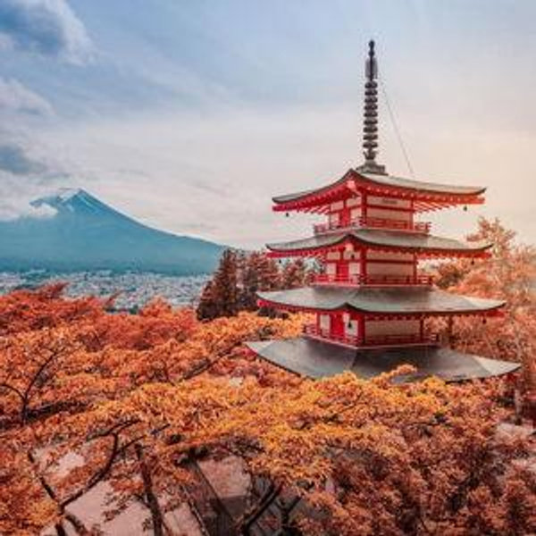Our Honeymoon Fund to Japan!