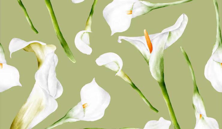 Footer image