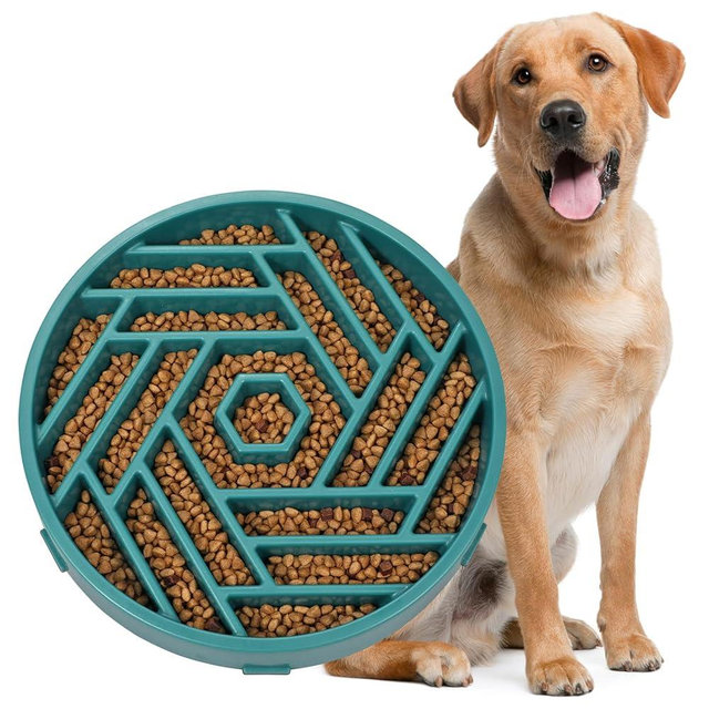 WHIPPY Slow Feeder Dog Bowl, Puzzle Maze Design to Slow Down Eating, 3-Cup Capacity, Anti-Gulping Food Bowl for Medium & Large Dogs,Green