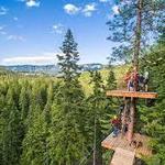 Ziplines