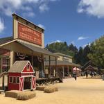 Roaring Camp