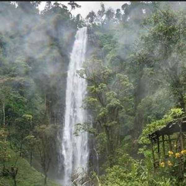 Materuni Waterfalls and Kikuletwa Hot Springs