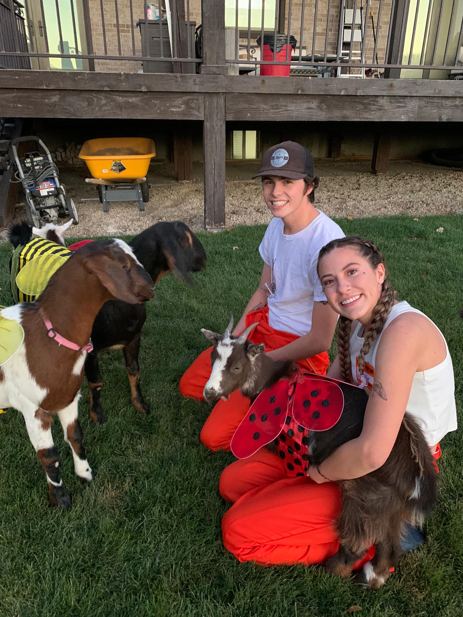 Halloween 2020 with our Goats