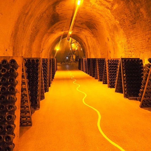 Champagne tasting in Reims, France