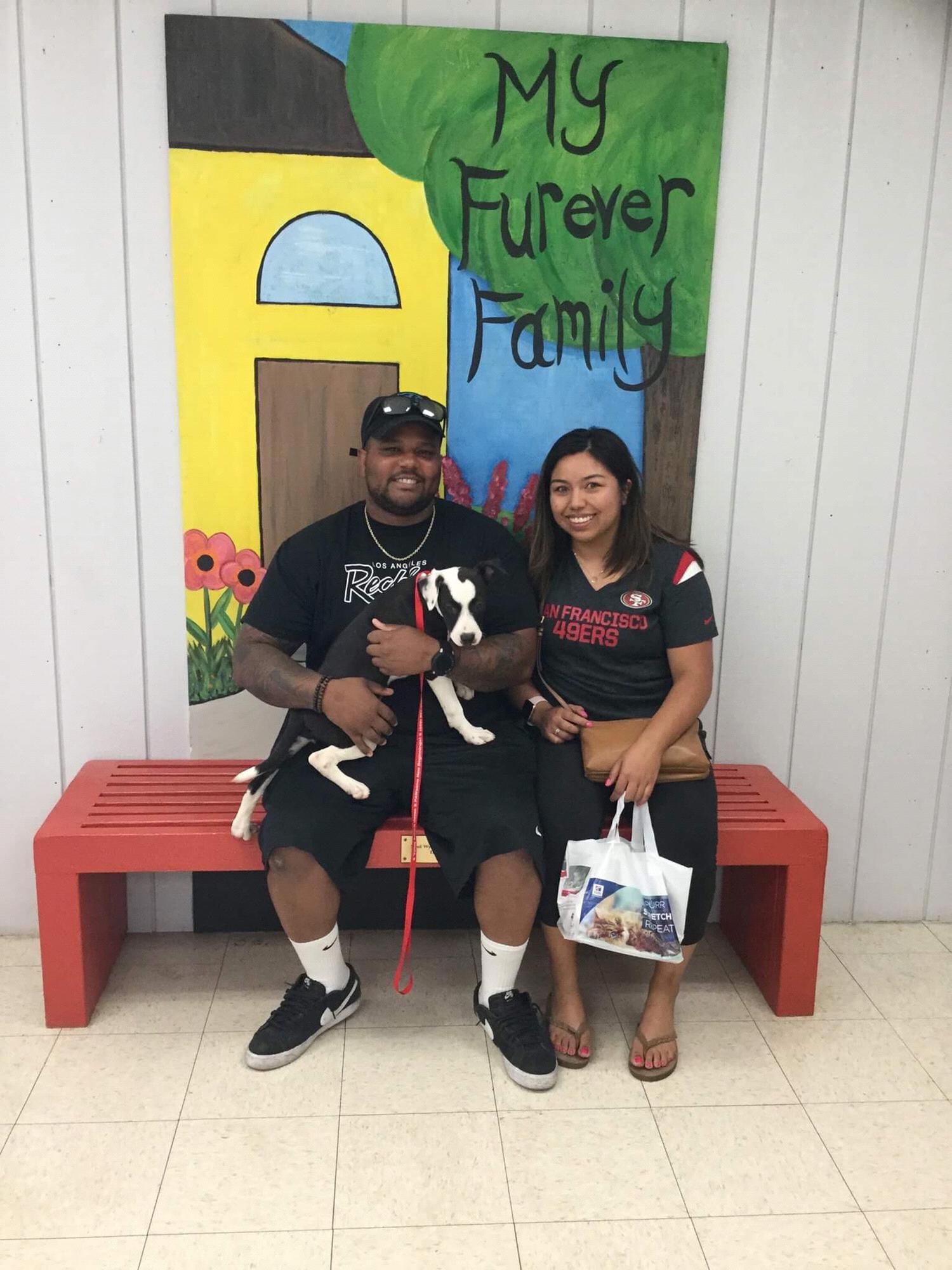 When we adopted our dog baby Cali