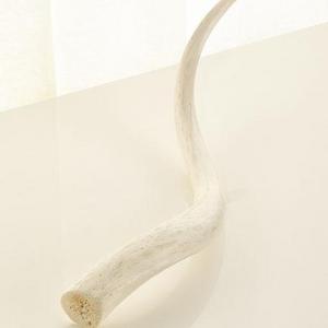 Med Polished Kudu Inner Horn