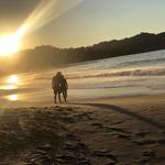 Sayulita