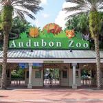 Audubon Zoo