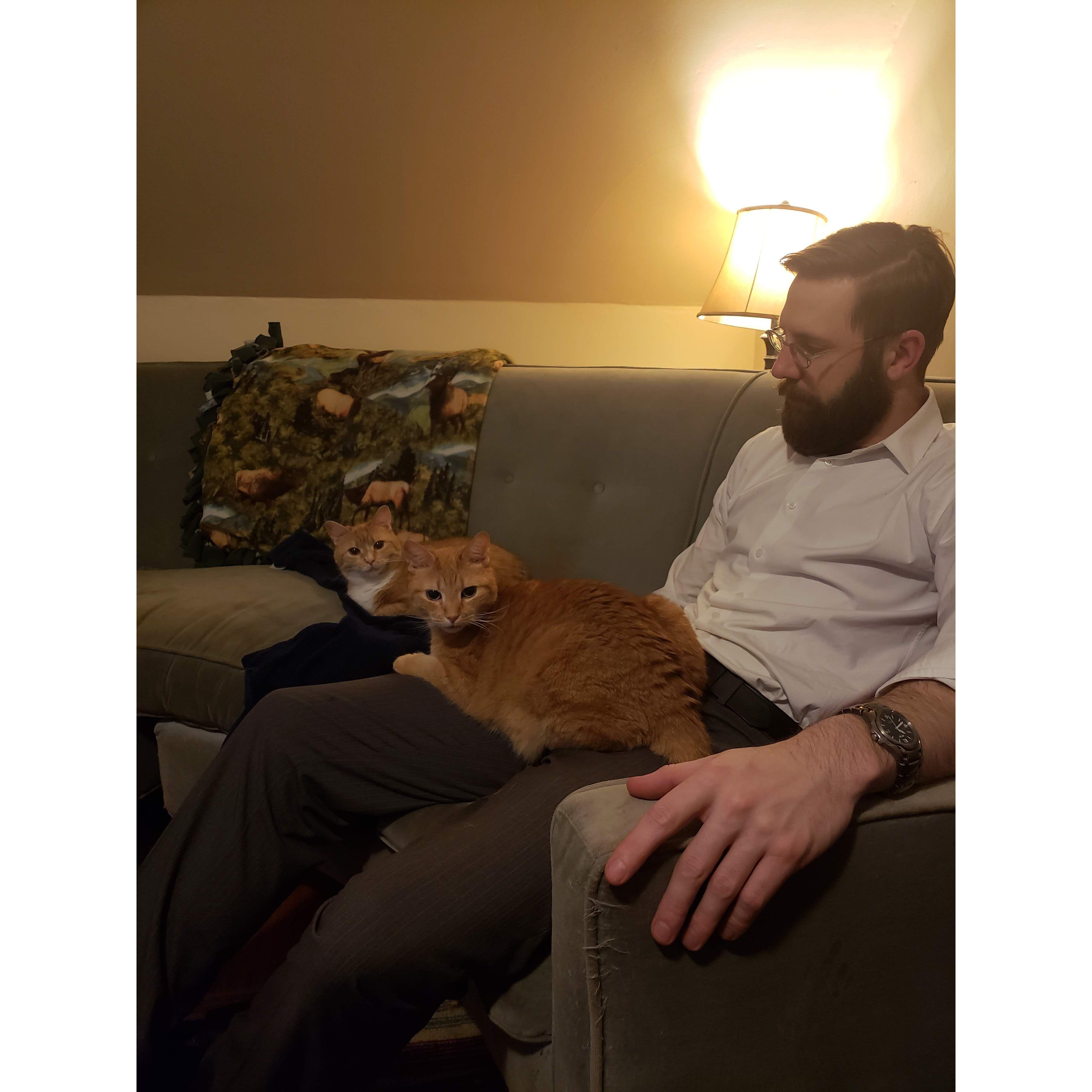 Sam and the cats move into Tyler's apartment January 2019