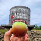 Lyman Orchards Farm Store at the Apple Barrel