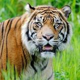 Point Defiance Zoo & Aquarium