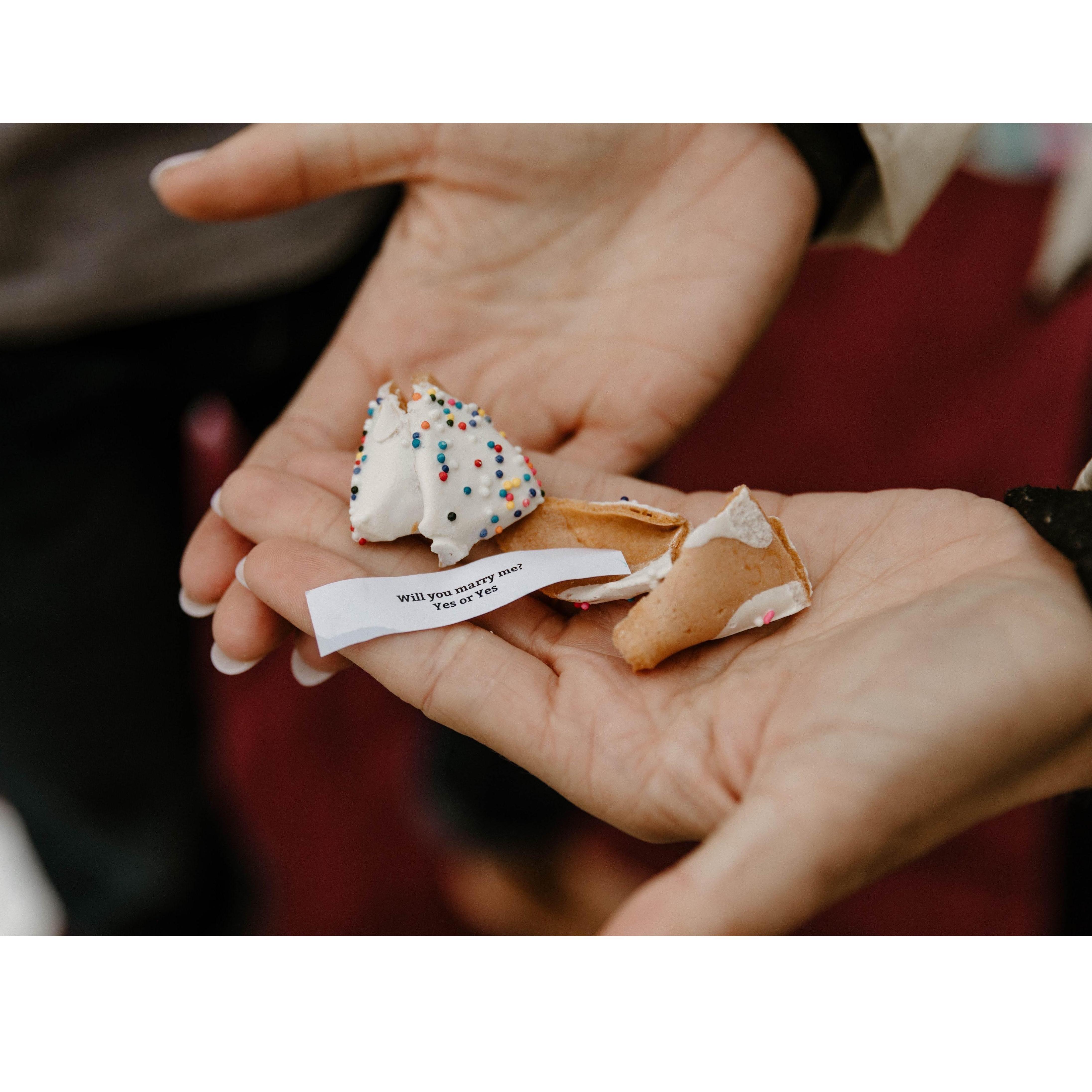 Engagement Day at Deception Pass // August 20th, 2021