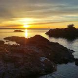 Black Rocks