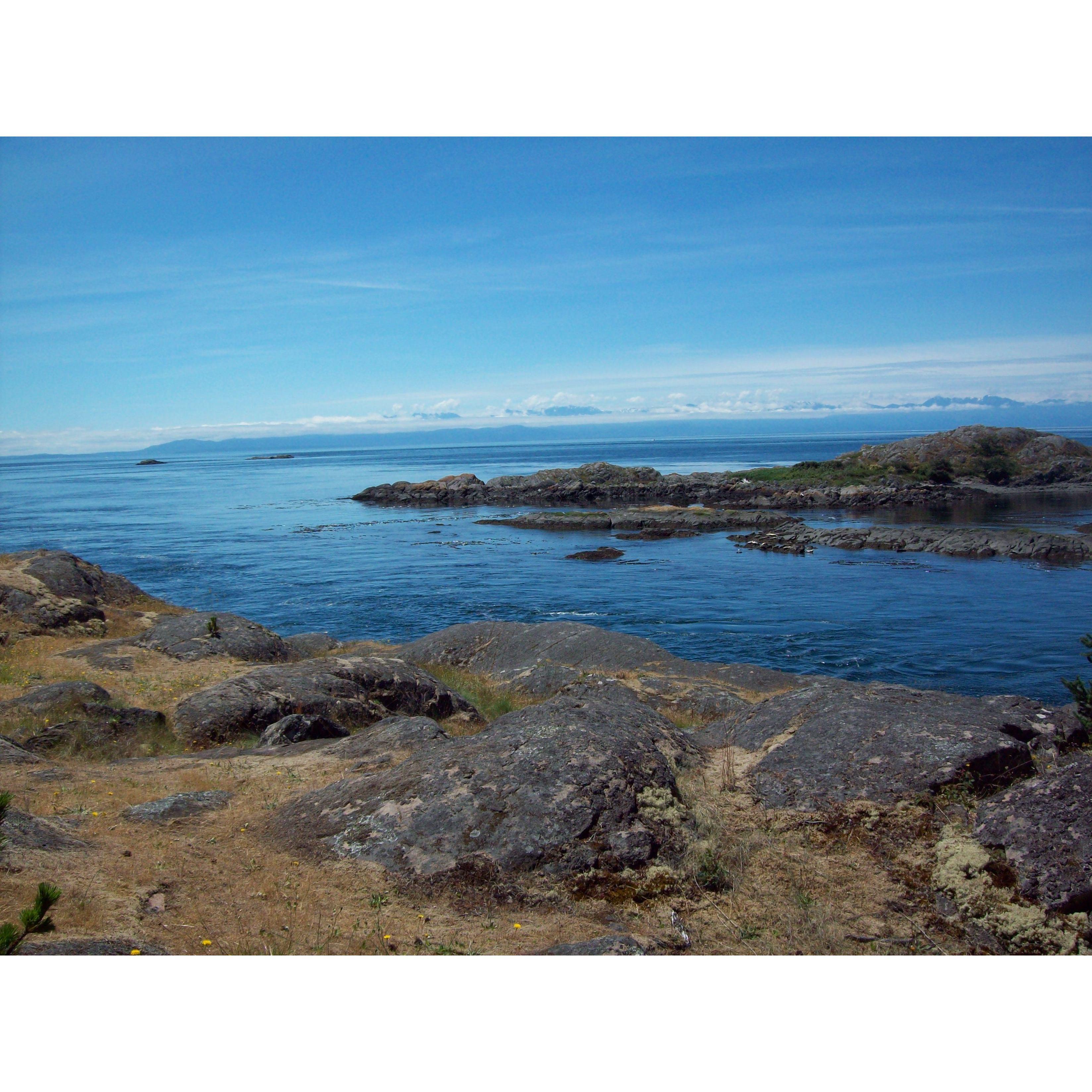 The view from Lopez Island, Washington right after Alejandro asked Beverly to marry him!