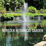 Norfolk Botanical Gardens