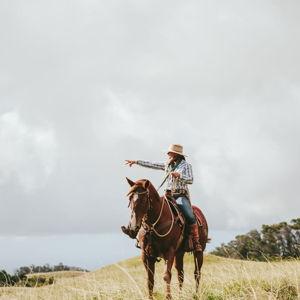 Horseback Riding