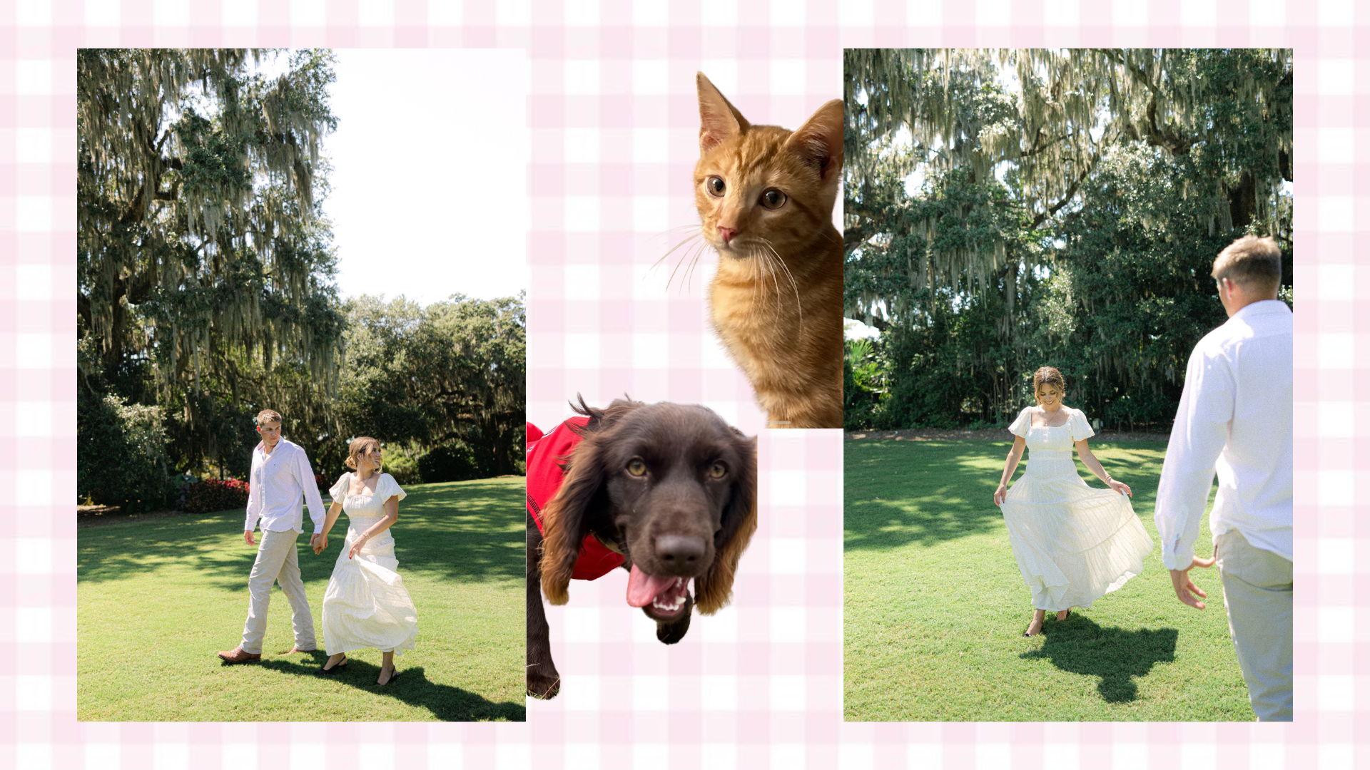 The Wedding Website of Kaydee Davis and John Carter Strickland