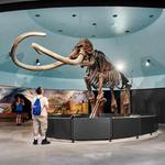 The La Brea Tar Pits and Museum
