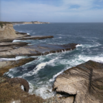 Coast Dairies State Park