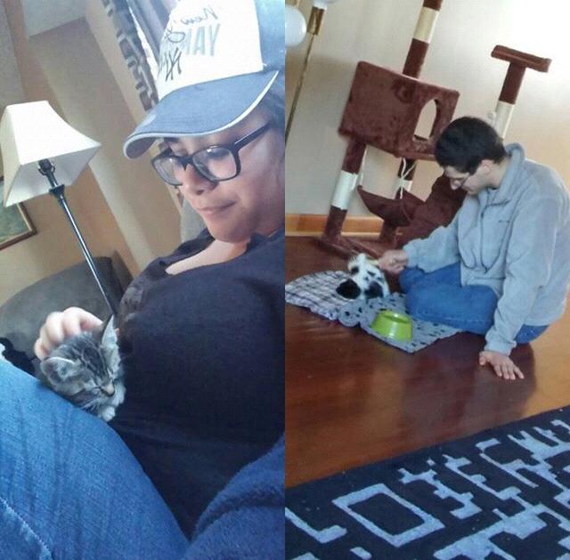 We adopted Mason and Hayley. 🐱🐱