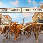 Fort Worth Stockyards Station