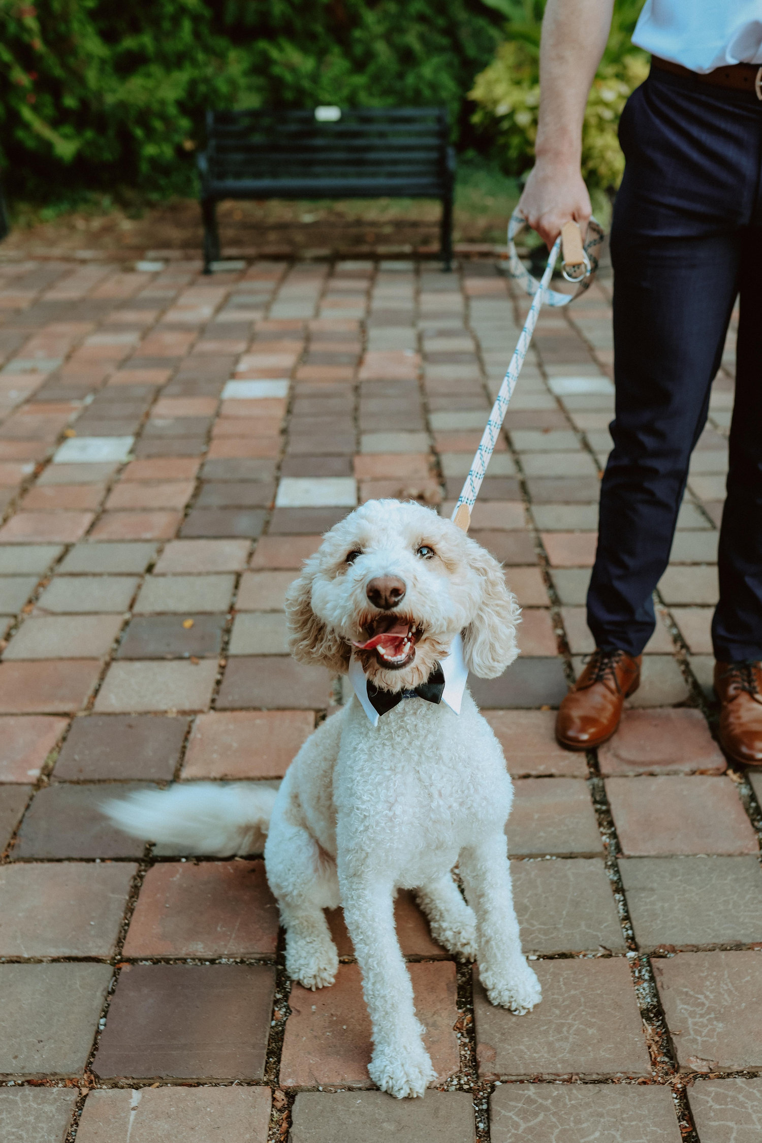 The Wedding Website of Noah Crisler and Faith Wood