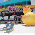 Coco Bongo Beach Party