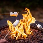 Smores and Bonfire Night! 9/4
