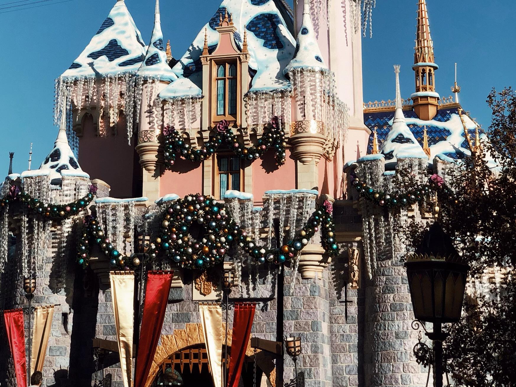 2nd Trip to Disneyland Together