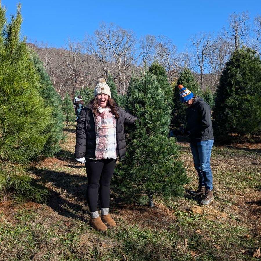 "We don't need 2 trees" (They had 2 trees that year)