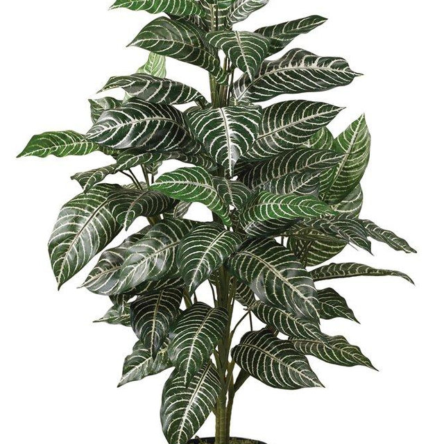 Nearly Natural Zebra Silk Plant, Green 3 ft.