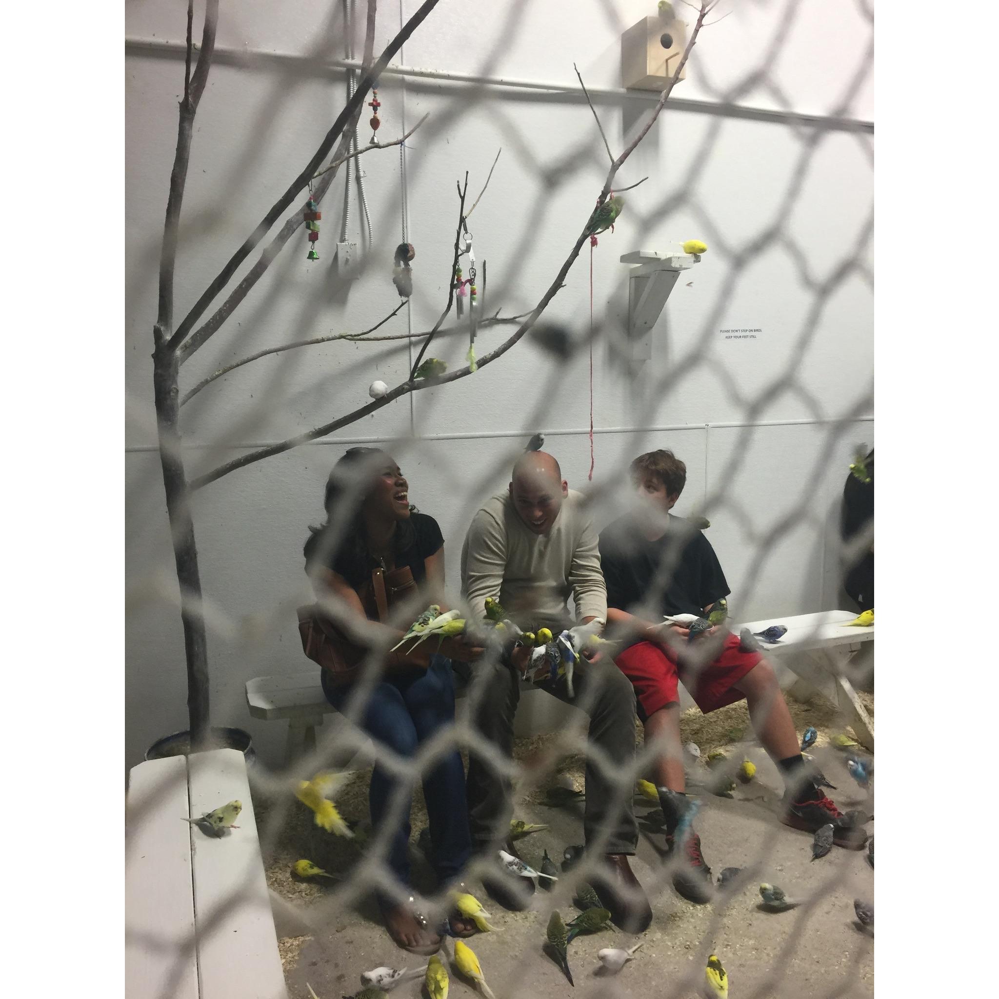 Austin Aquarium. 2015.