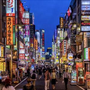 Our Honeymoon Fund - Japan!
