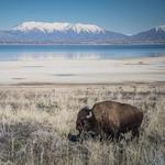 Antelope Island State Park