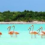 Holbox