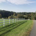 Carousel Park