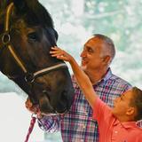 Horse Grooming & Bonding