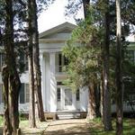 Rowan Oak