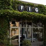 FIG - $$$
