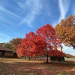 Brookdale Park