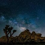 Joshua Tree National Park