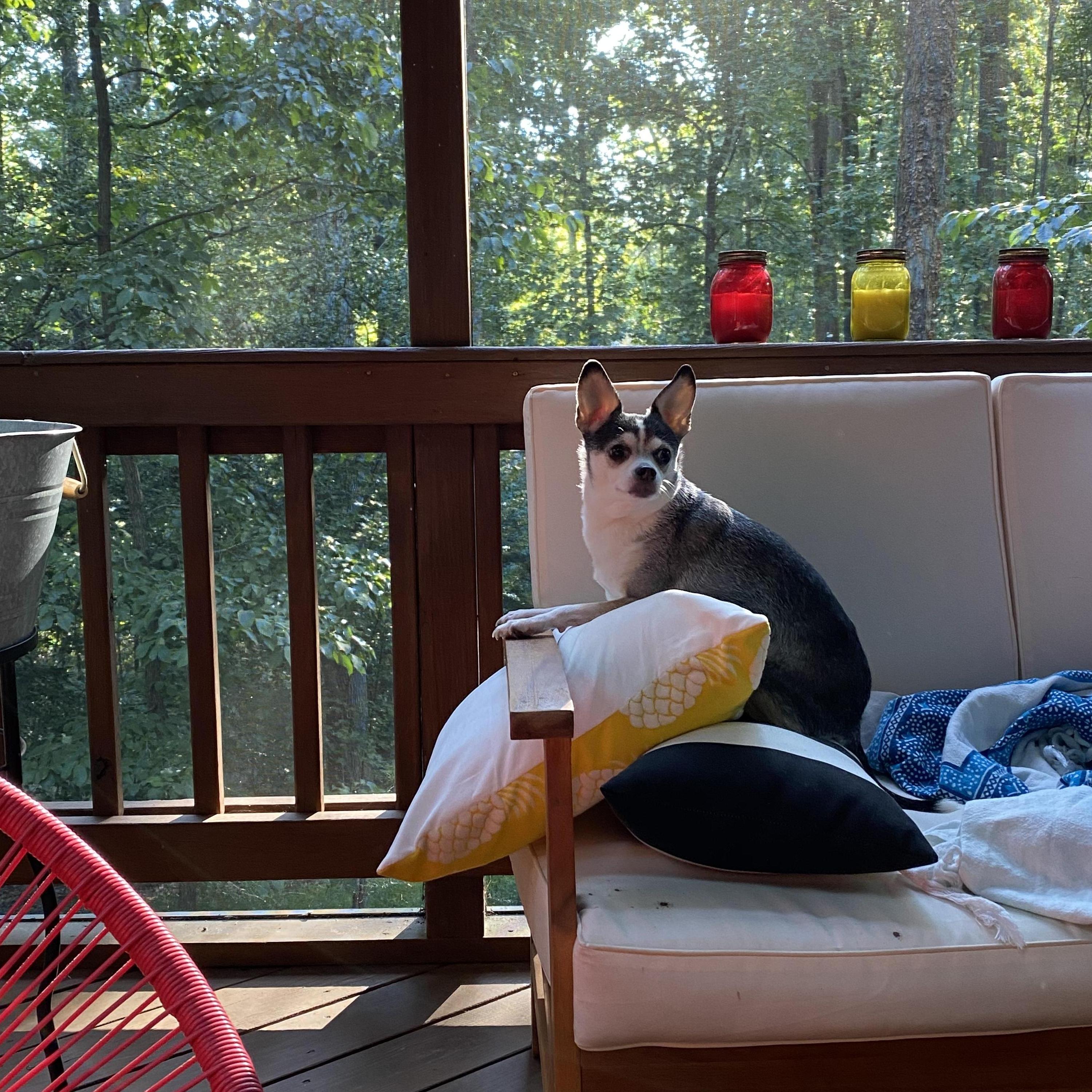 Falls days on the porch balcony with Sammers, 2020