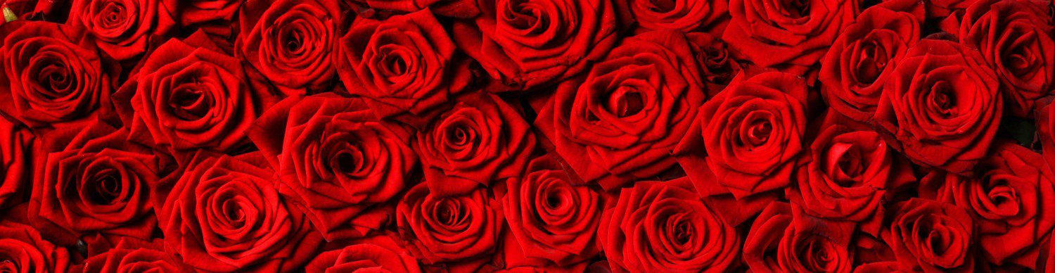 The Wedding Website of Stephanie Rene and Camell Page