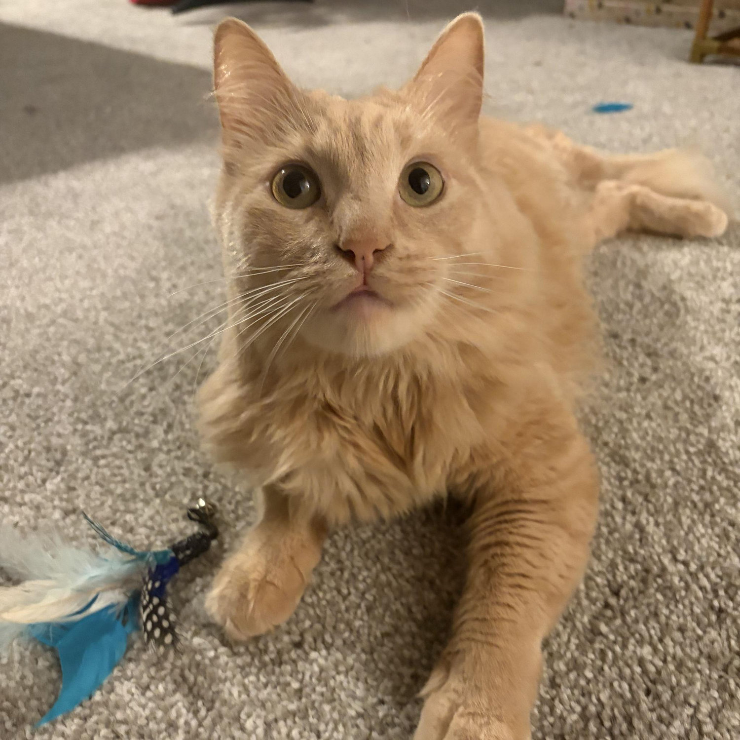 Our son Felix!