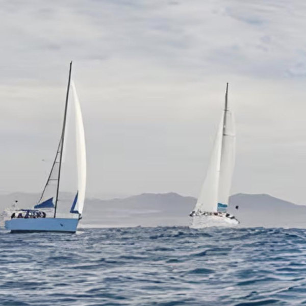 Half-Day Luxury Sailboat Experience - Cabo San Lucas